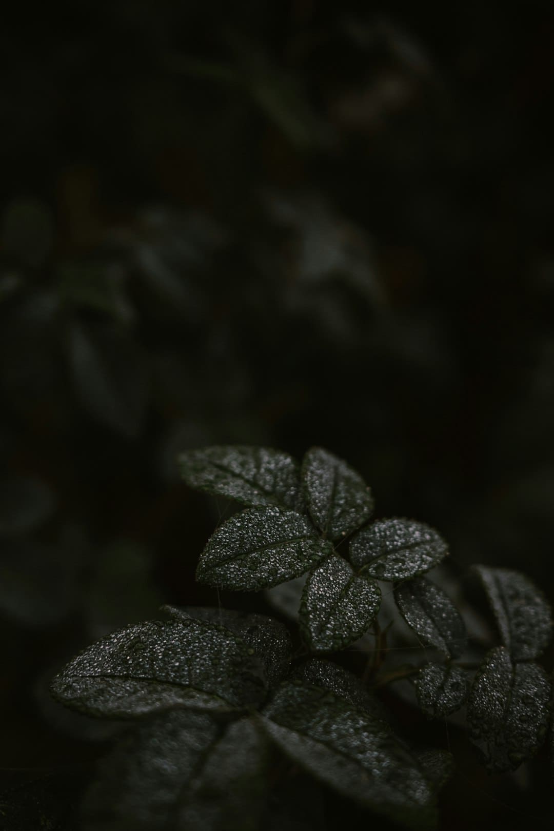 拟布局存储事务的算力概念股月内涨超160% 八月发表并购重组发展的A股名单一览